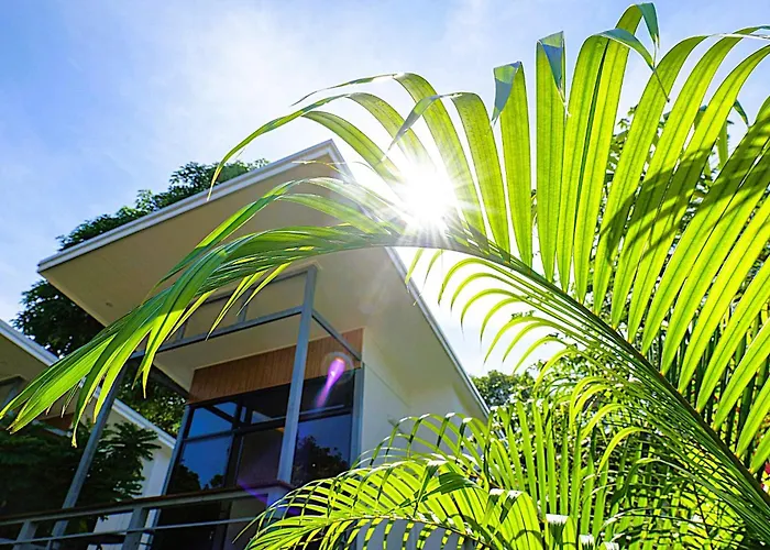 Modern Bungalows